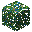 Blueberry Bush