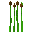 Cat Tails
