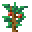 Red Apple (Sapling)