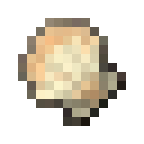 Seashell Scallop.png