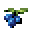 Blueberries