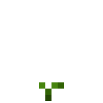 Soybean (1).png