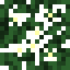 Olive (Flower).png