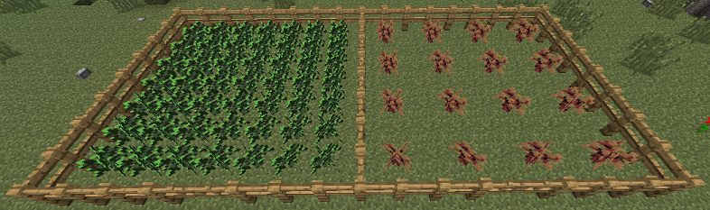 Willow Spacing vs Douglas Fir Spacing