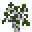Grid Sapling (Aspen).png