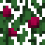Plum (Fruit).png