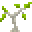 Grid Sapling (Laurel).png