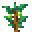 Green Apple (Sapling)