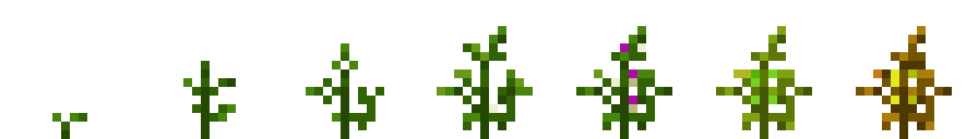 Soybean (Phases).png