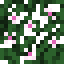 Peach (Flower).png