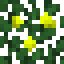 Lemon (Fruit).png