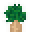 Baobab Sapling.png
