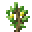 Lemon (Sapling)