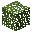 Snowberry Bush