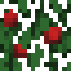 Red Apple (Fruit).png