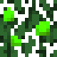 Green Apple (Fruit).png