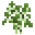 Grid Sapling (Birch).png