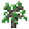 Grid Sapling (Maple).png