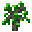 Grid Sapling (Hickory).png
