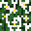 Green Apple (Flower).png