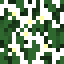 Orange (Flower).png