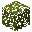Raspberry Bush