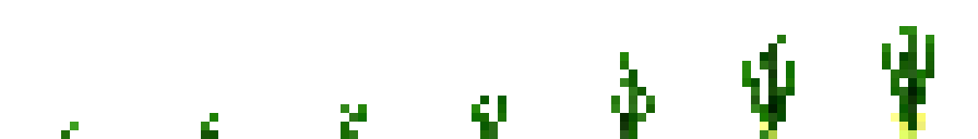 Onions (Phases).png