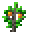 Orange (Sapling)