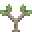 Grid Sapling (Joshua).png