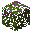 Blackberry Bush