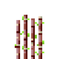 Thumbnail for version as of 19:55, 18 September 2020