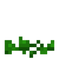Squash (4).png