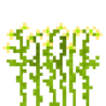 Madder (5).png