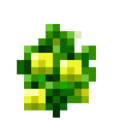 PepperYellow (7).png