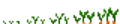 Carrots (Phases).png