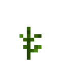 Soybean (2).png