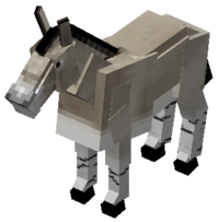 Wild Ass.png