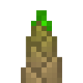 Sapling (Bamboo).png