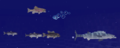 Thumbnail for version as of 14:38, 8 April 2020