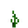 Onion (5).png