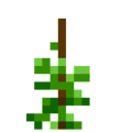 Greenbean (4).png