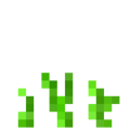 Oat (3).png