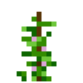 Greenbean (5).png