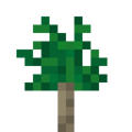 Sapling (Gingko).png
