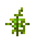 Soybean (6).png