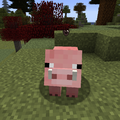 Thumbnail for version as of 23:46, 28 November 2014