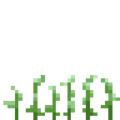 Flax (2).png