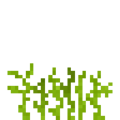 Madder (4).png