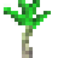 Sapling (Palm).png