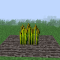 Thumbnail for version as of 09:28, 18 April 2014